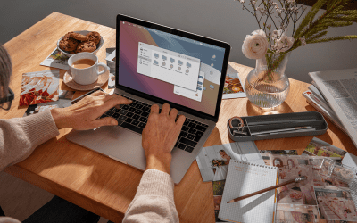 Création de site web éco-conçu : Performance digitale et faible impact carbone