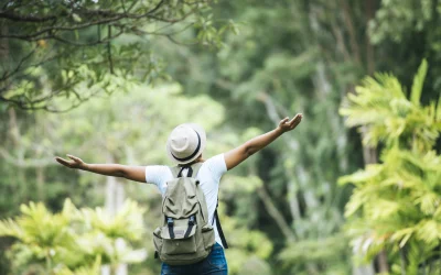 Communication dans l’éco-tourisme : Développez vos réservations